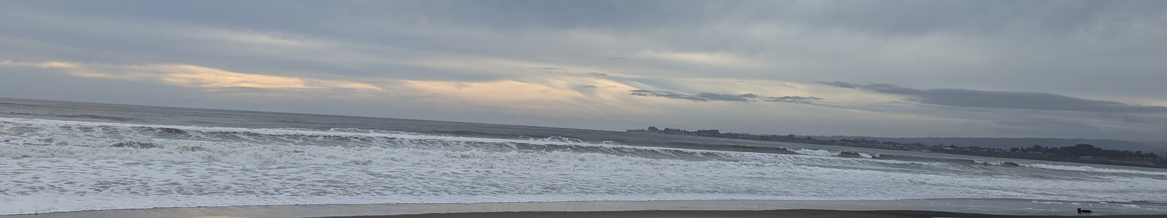 Re-Later coaching journey